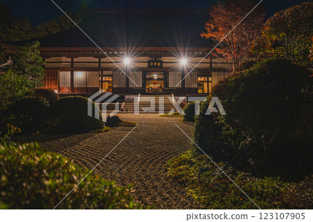 A view of illuminated Ryutanji Temple in Hamamatsu City, Shizuoka Prefecture, where the leaves are starting to turn red in autumn 123107905