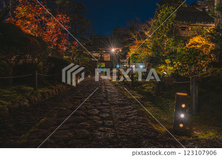 A view of illuminated Ryutanji Temple in Hamamatsu City, Shizuoka Prefecture, where the leaves are starting to turn red in autumn 123107906