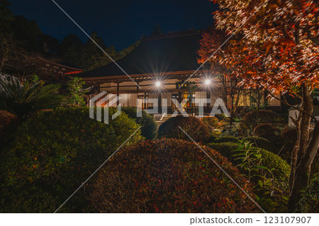 靜岡縣濱松市龍潭寺燈火通明的景色，秋天的樹葉開始變紅 123107907
