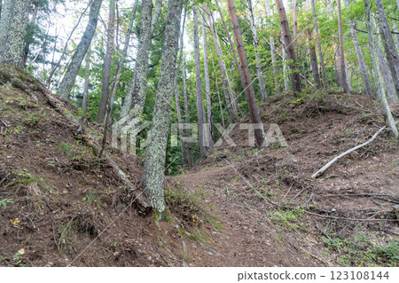 Yamaga Castle: A series of moats and earthen bridges cutting across the ridge 123108144