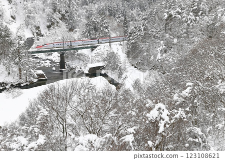 Akita Shinkansen in the snow 123108621