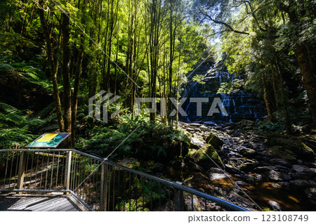 Nelson Falls in Franklin-Gordon Wild Rivers National Park Tasmania Australia Nelson Falls in Franklin-Gordon Wild Rivers National Park Tasmania Australia 123108749