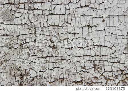 Cracked pain texture, paint wall texture. Light gray background 123108873