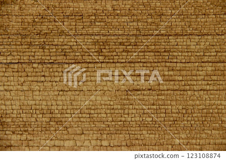 Brown texture of old wood. Wooden background texture 123108874