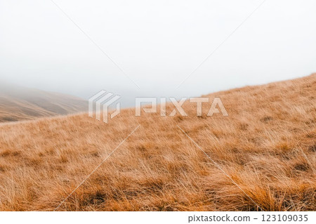 Muted rural landscape with rolling hills, soft fog, and desaturated golden fields, cinematic depth Muted rural landscape with rolling hills, soft fog, and desaturated golden fields, cinematic depth 123109035