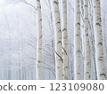 A desaturated winter landscape with frost-covered trees, subtle blue-gray hues, and a serene ambiance creates a tranquil setting. 123109080