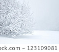 Desaturated winter landscape with frost-covered trees, subtle blue-gray hues, and a peaceful atmosphere 123109081