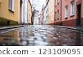 Exploring the desaturated European alleyway, historic buildings, soft light reflections, and timeless urban charm is an enchanting experience. 123109095