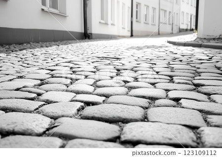Black-and-white cobblestone street scene, vintage charm, timeless aesthetic, soft morning glow. Black-and-white cobblestone street scene, vintage charm, timeless aesthetic, soft morning glow. 123109112