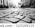 Black-and-white cobblestone street scene, vintage charm, timeless aesthetic, soft morning light 123109115
