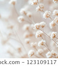 An abstract arrangement of dried flowers in soft neutral tones, desaturated textures, and a dreamy depth of field creates a calming atmosphere. 123109117