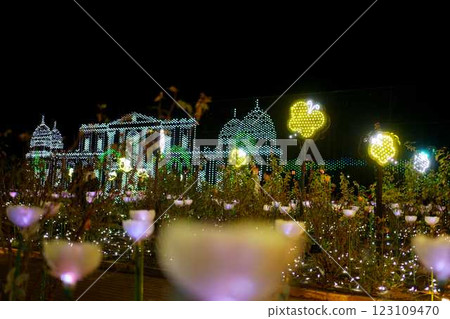 Ashikaga Flower Park Christmas Illumination 123109470