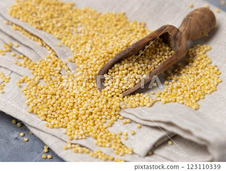 Raw uncooked yellow millet grain in a wooden scoop on grey table closeup. Ancient food Raw uncooked yellow millet grain in a wooden scoop on grey table closeup. Ancient food 123110339