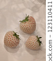 White strawberry 123110411