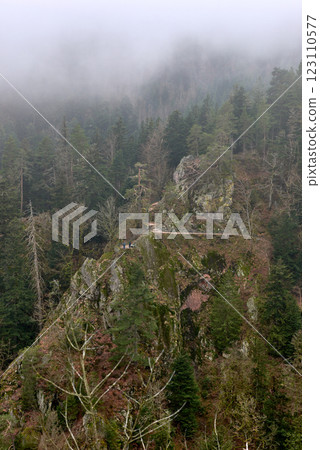 SCHWARZWALD - Dramatic foggy mountain landscape with dense evergreen forest and rocky cliffs in the Black Forest Germany, mystical mist-covered wilderness with towering pine trees and rugged terrain SCHWARZWALD - Dramatic foggy mountain landscape with dense evergreen forest and rocky cliffs in the Black Forest Germany, mystical mist-covered wilderness with towering pine trees and rugged terrain 123110577