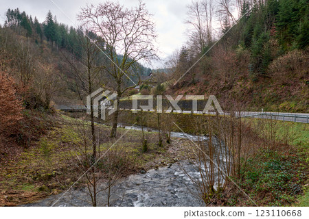 Scenic Mountain Stream Cascading Through Forest with Wooden Steps and Handrail Path. Natural Forest Waterfall with Hiking Trail and Mossy Rocks in Black Forest Wilderness Landscape. 123110668