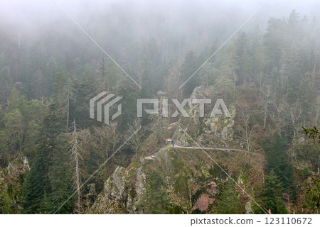forest, mountain, fog 123110672