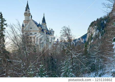 Neuschwanstein Castle in Snowy Winter Landscape with Gothic Revival Architecture, Surrounded by Evergreen Trees and a Winding Path Under Soft Golden Morning Light Neuschwanstein Castle in Snowy Winter Landscape with Gothic Revival Architecture, Surrounded by Evergreen Trees and a Winding Path Under Soft Golden Morning Light 123110802