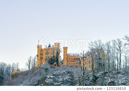 Majestic Yellow Stone Castle on Snow-Covered Hill Surrounded by Bare Winter Trees, Frosty Forest, and Clear Blue Sky, Capturing Medieval Architecture and Tranquil Scenic Beauty of a Peaceful Winter Majestic Yellow Stone Castle on Snow-Covered Hill Surrounded by Bare Winter Trees, Frosty Forest, and Clear Blue Sky, Capturing Medieval Architecture and Tranquil Scenic Beauty of a Peaceful Winter 123110810
