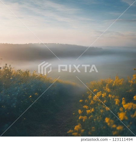 morning mist on the lake 123111494