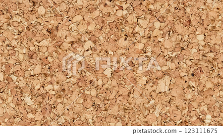 Corkboard texture background image 123111675