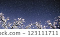 Night sky in winter 123111711