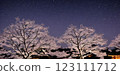 Night sky 123111712