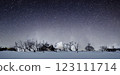 Night sky in winter 123111714