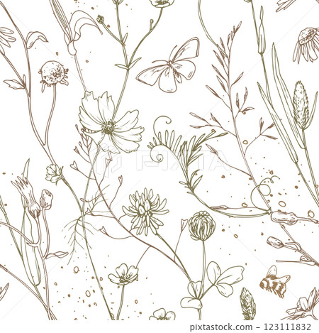 Field, meadow, wild flowers and herbs cosmos, chamomile, clover and insects. Line art is a simple hand-drawn illustration in beige, ochre, brown ink. Seamless pattern vector EPS Field, meadow, wild flowers and herbs cosmos, chamomile, clover and insects. Line art is a simple hand-drawn illustration in beige, ochre, brown ink. Seamless pattern vector EPS 123111832
