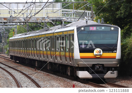 [JN] 南部線E233系列列車（為紀念川崎市建市100週年而包裝） 123111888