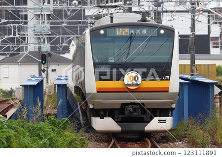 [JN] Nambu Line E233 Series Train (wrapped to commemorate Kawasaki City's 100th anniversary) 123111891