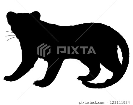 Hand drawn silhouette of a fossa 123111924