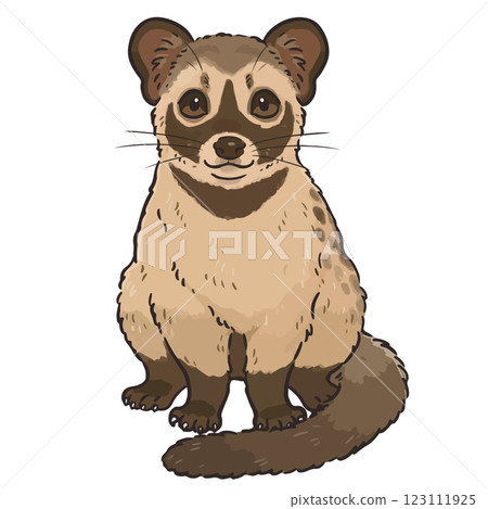 Hand-drawn illustration of a cute palm civet 123111925