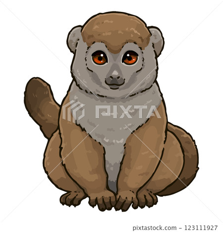 一隻可愛的灰色溫柔狐猴的插圖 123111927