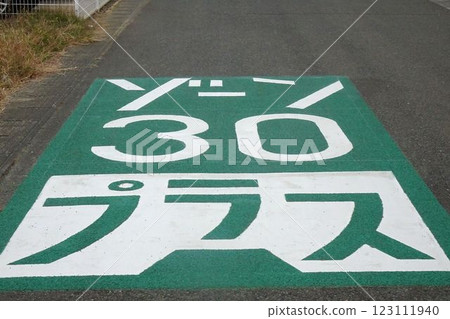 Road markings Zone 30 Plus 123111940