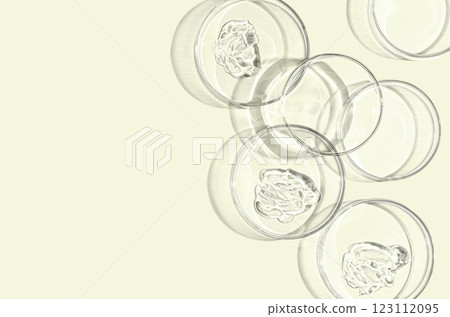 A sample of skin serum or moisturizing gel in a Petri dish. A cosmetic product. Copy space 123112095