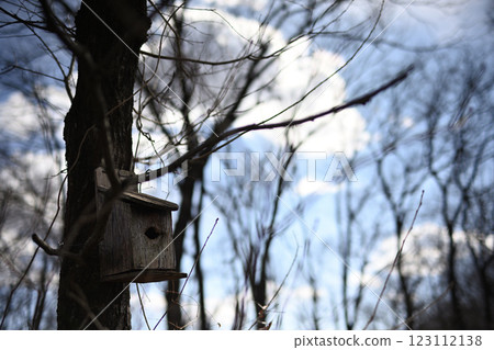 Birdhouses installed in the forest Birdhouses installed in the forest 123112138