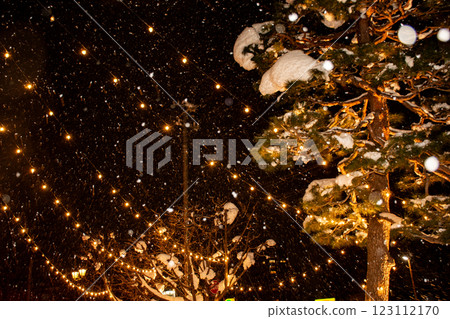 雪和燈光明亮的松樹 123112170