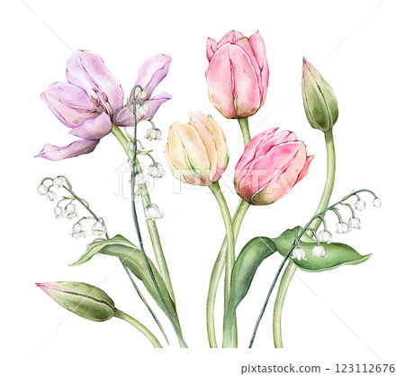 Bouquet of Pastel multi-colored Tulips and tender poured lily of the valley. Watercolor Hand drawn illustration delicate garden composition perennial bulbous flower for spring wedding design or card Bouquet of Pastel multi-colored Tulips and tender poured lily of the valley. Watercolor Hand drawn illustration delicate garden composition perennial bulbous flower for spring wedding design or card 123112676
