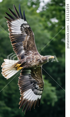 A majestic eagle soars high in the sky. Its wings spread wide, showcasing striking patterns. The beauty of nature is truly captivating. Generative AI 123112854