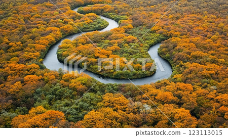 A stunning aerial view of a winding river surrounded by vibrant autumn foliage. The colors of nature are captivating and inviting. This serene landscape showcases tranquility. Generative AI A stunning aerial view of a winding river surrounded by vibrant autumn foliage. The colors of nature are captivating and inviting. This serene landscape showcases tranquility. Generative AI 123113015