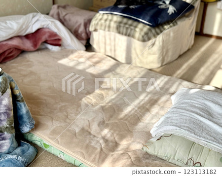 A futon spread out in a small room 123113182