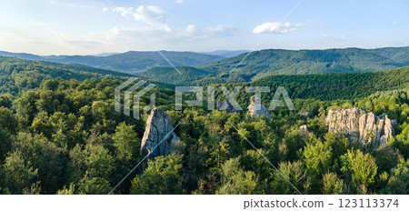 Panoramic view of bright landscape with green forest trees and big rocky boulders between dense woods in summer. Beautiful scenery of wild woodland. 123113374