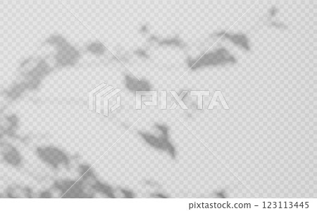 Abstract shadow overlay from foliage on a transparent background. 123113445