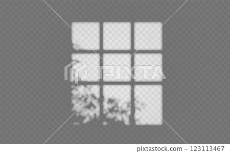 Light effect shadow overlay from window frame with tree branch isolated transparent background. Light effect shadow overlay from window frame with tree branch isolated transparent background. 123113467