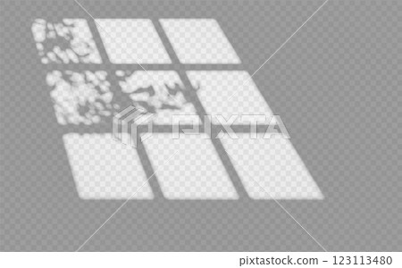Light effect shadow overlay from window frame with tree branch isolated transparent background. Light effect shadow overlay from window frame with tree branch isolated transparent background. 123113480