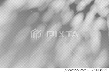 Abstract shadow overlay from foliage on a transparent background. 123113498