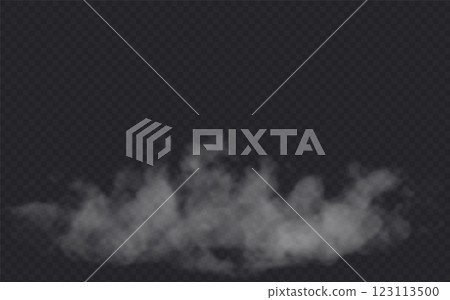 Fog effect on transparent dark background. Smoke gray cloud above the floor surface. 123113500