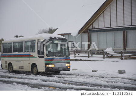 Bus running through the snow-covered Metasequoia trees 2 123113582