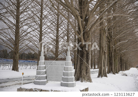Snow-covered Metasequoia Tree Line and Monument 6 123113627